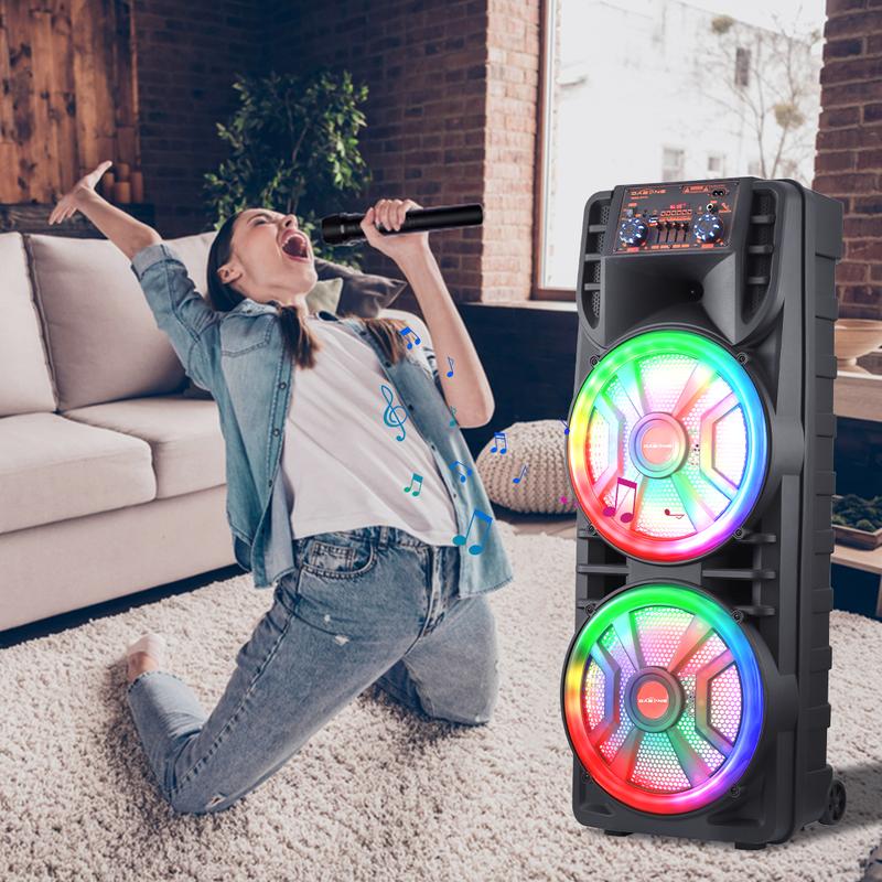 🎊Super store anniversary discount--Dual 12-inch portable Bluetooth speaker system 2800W 95dB PA