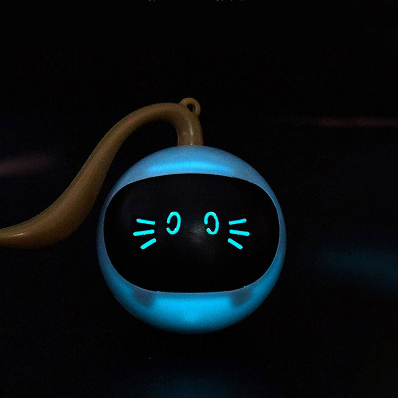 Ninja Magic Ball Cat Toy