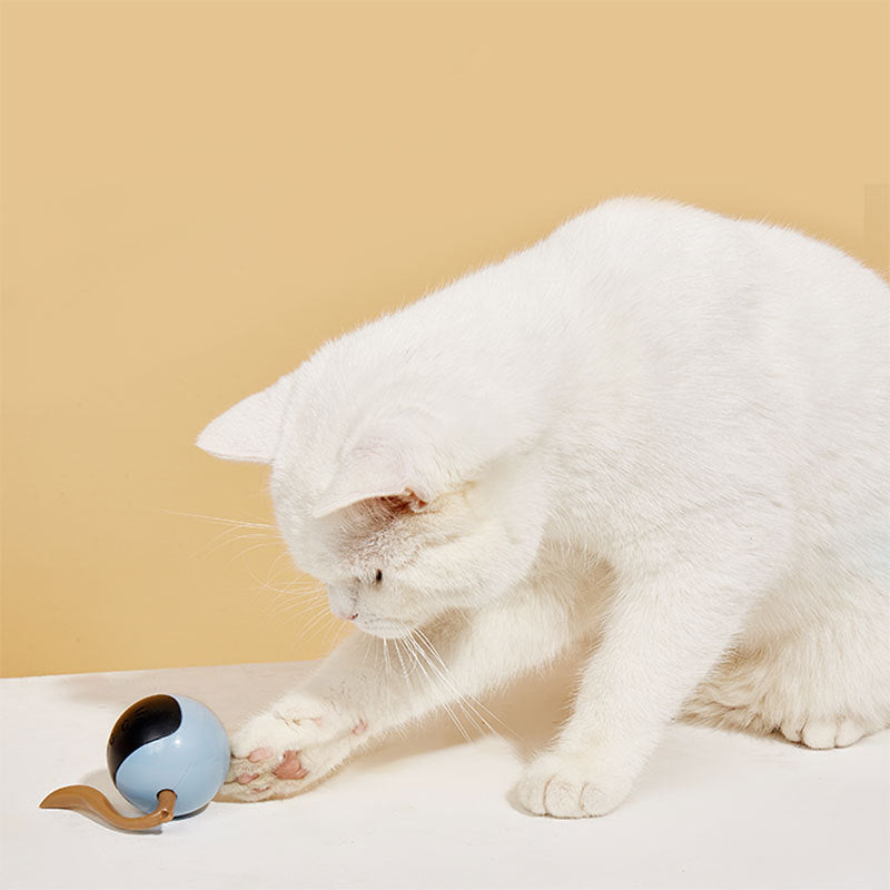 Ninja Magic Ball Cat Toy