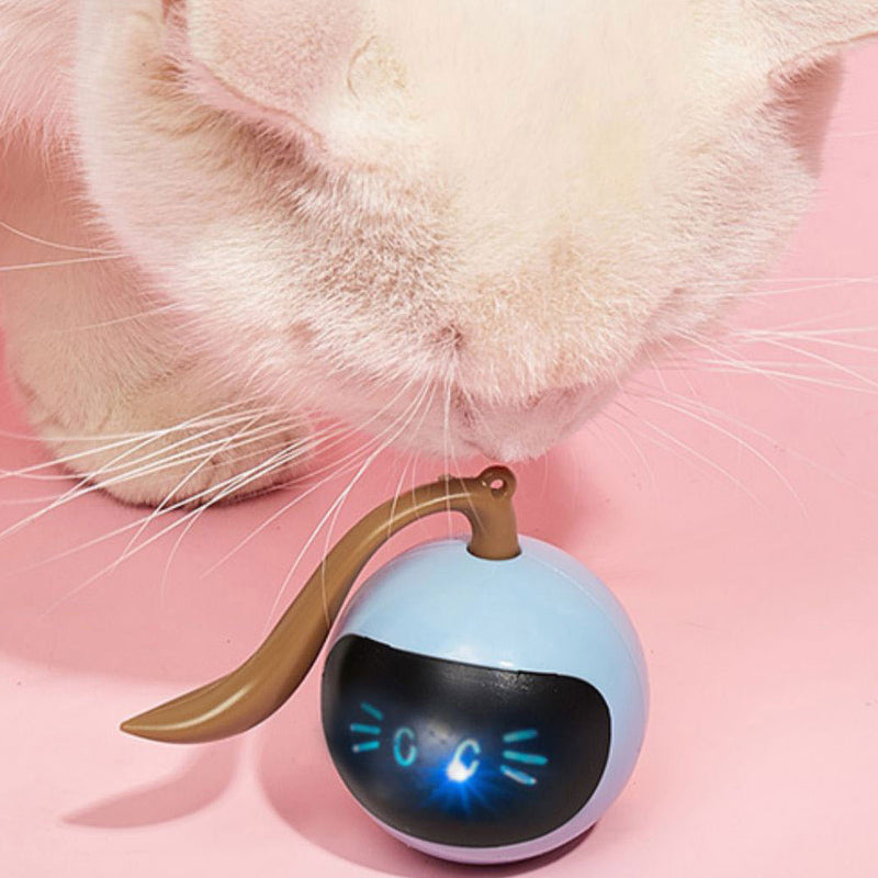 Ninja Magic Ball Cat Toy