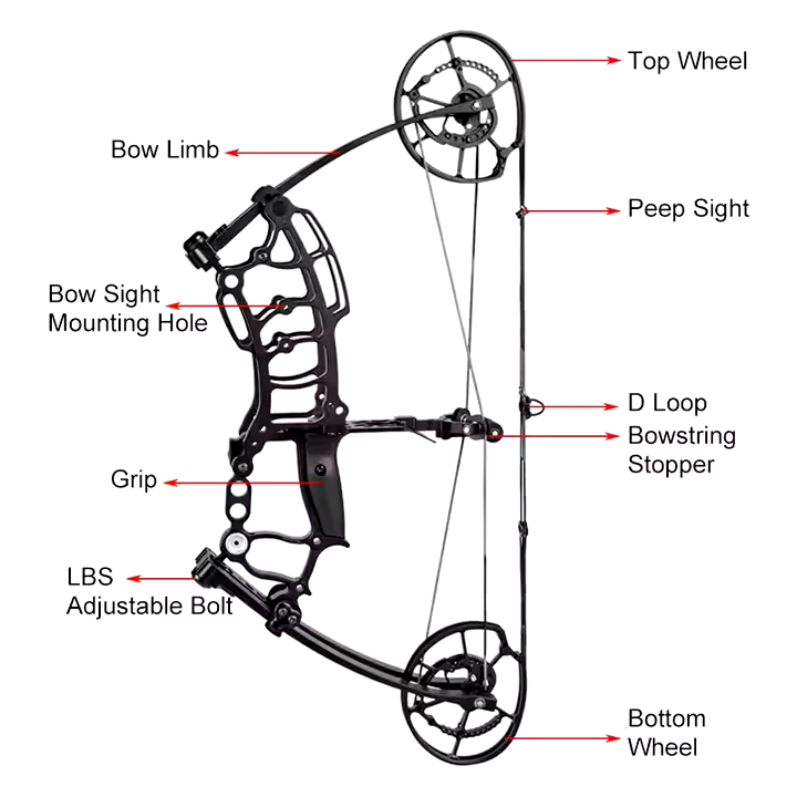 Steel Ball Compound Bow Dual Purpose Bow and Arrow Adjustable Adults Hunting Accessories Archery Composite Pulley Bow