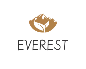 EVEREST TECH HUB INVESTMENT LTD