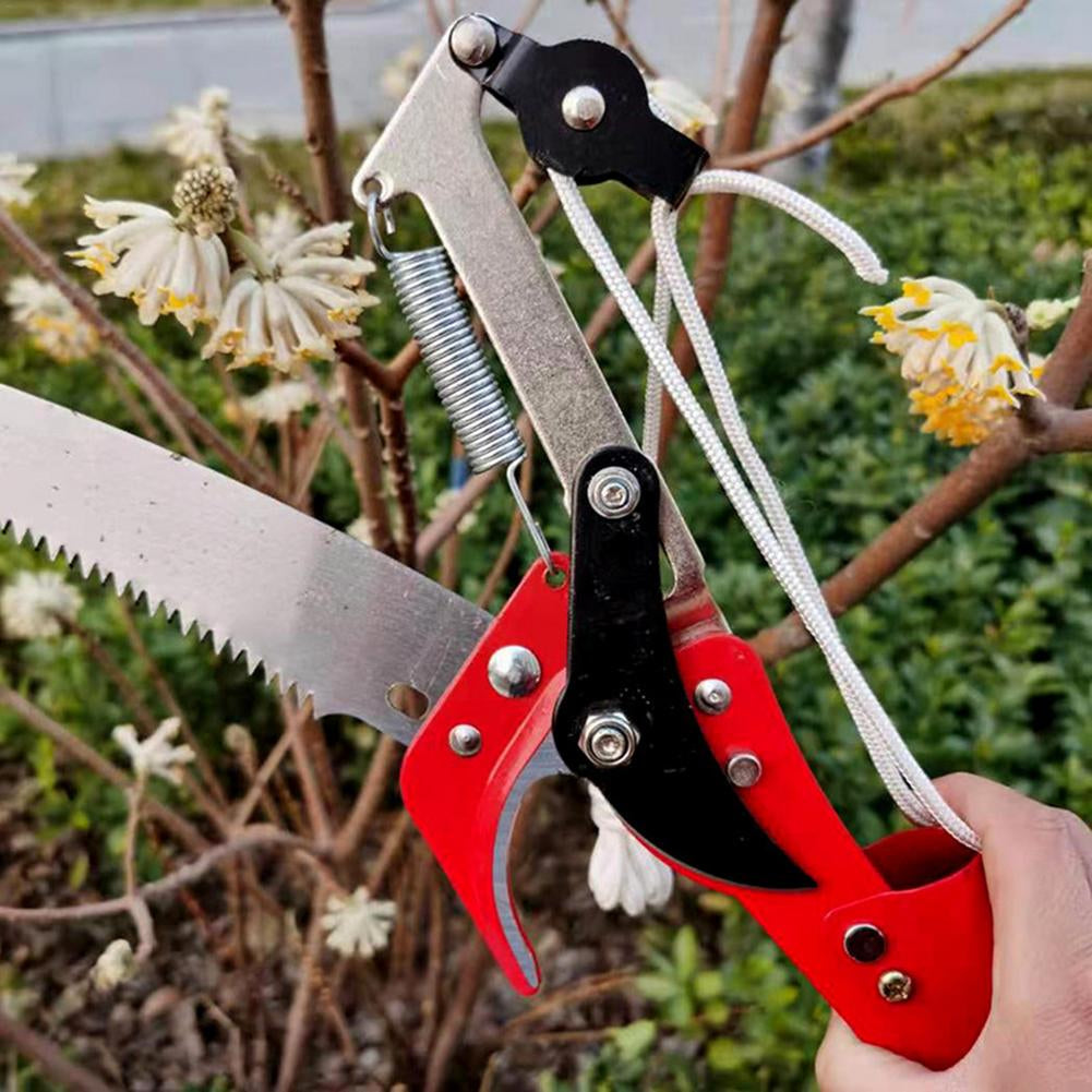 🎄2025 Christmas Sales🎅Buy 1 Get 1 Free🌟 Tree Trimmer Scissor