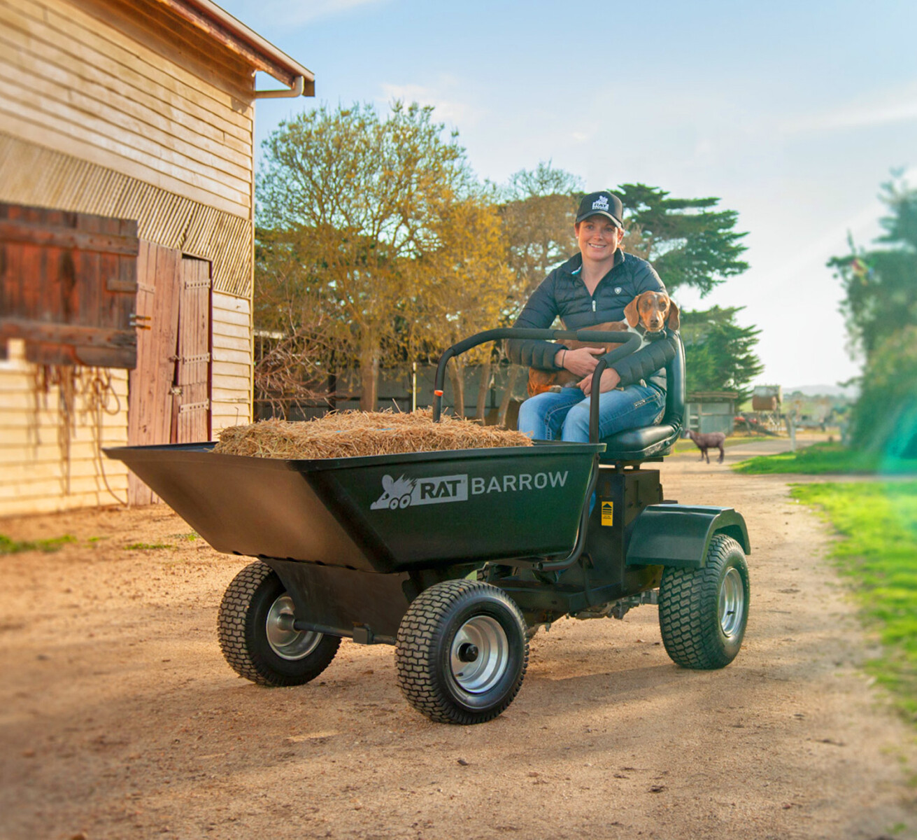 💥Ride On Articulated Tipping Wheelbarrow