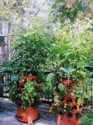 🔥Second one is half price!🌱Rotatable Garden Tower!🌱