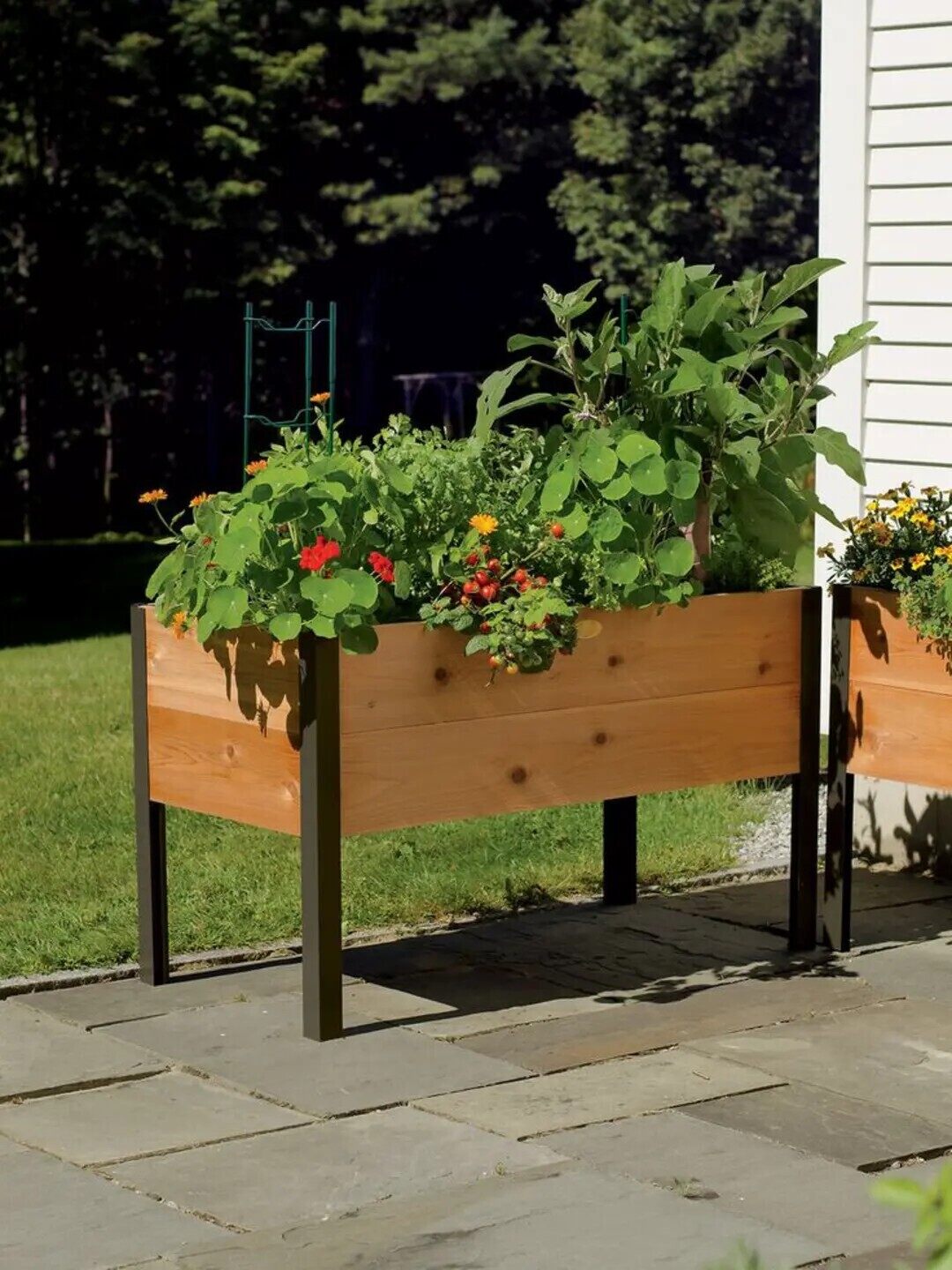 🌷Spring Clearance Sale ⚡ Limited Stock-Only $ 19.99 EACH🔥8' X 2' x 4' Self-Watering Eco-Stained Elevated Planter Box+ Arch Trellis