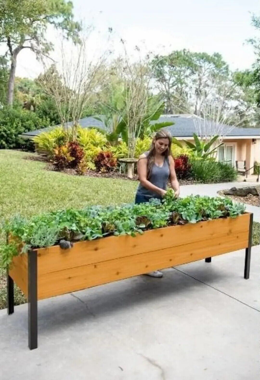 🌷Spring Clearance Sale ⚡ Limited Stock-Only $ 19.99 EACH🔥8' X 2' x 4' Self-Watering Eco-Stained Elevated Planter Box+ Arch Trellis