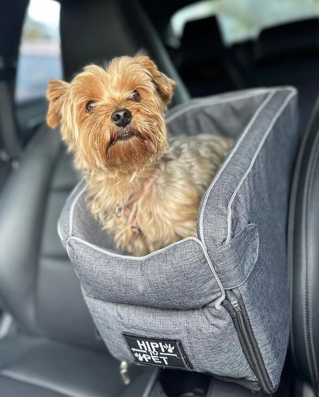 Portable Console Car Seat for Dogs