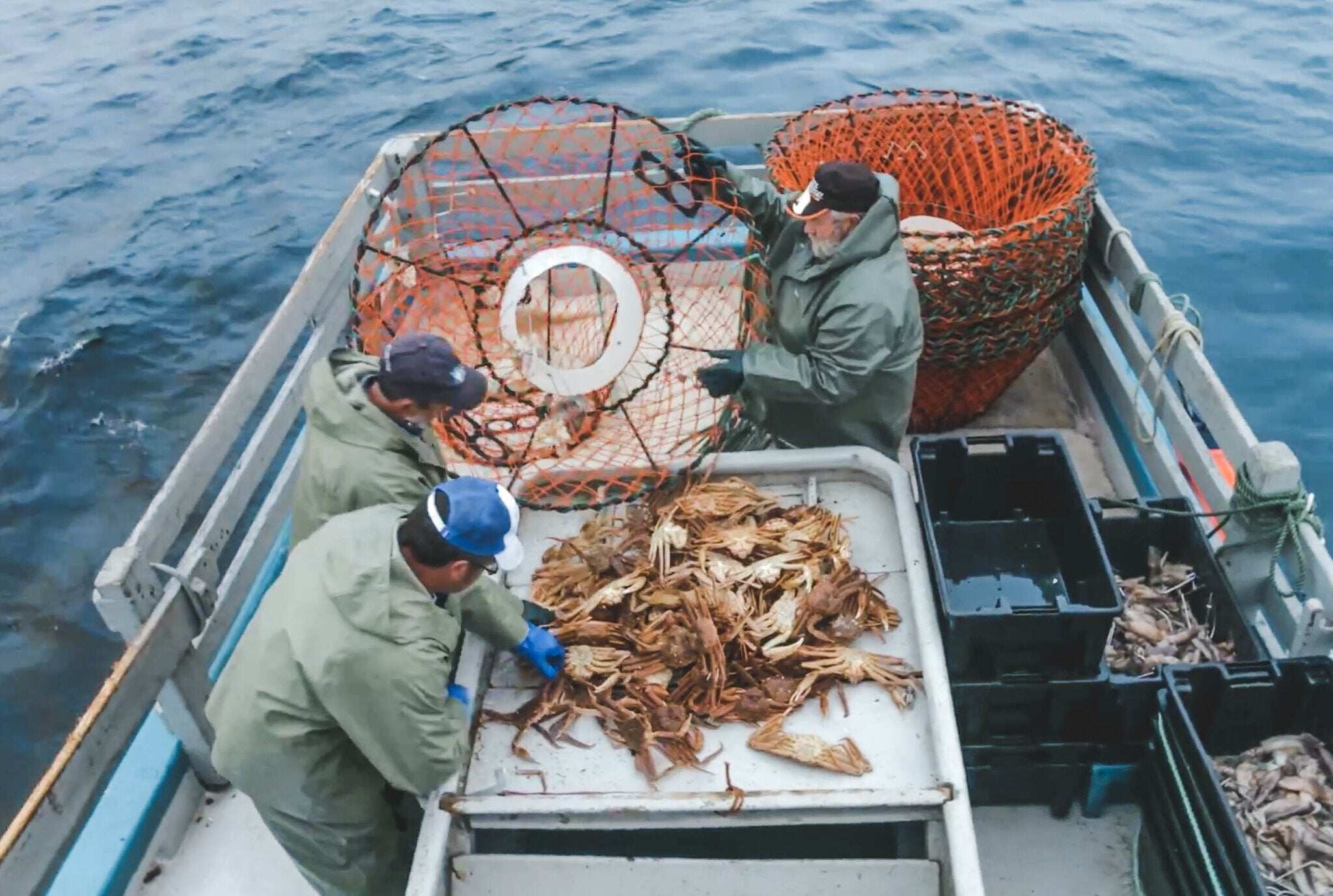 Time’s Ticking: Grab 70% Off Snow Crab Legs