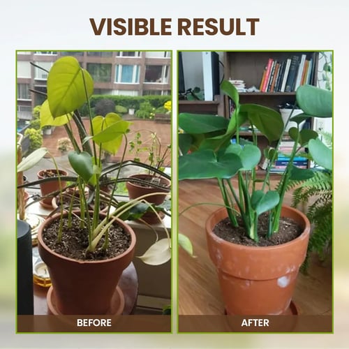 🔥Seasonal promotion🔥-Soil Pro Activator