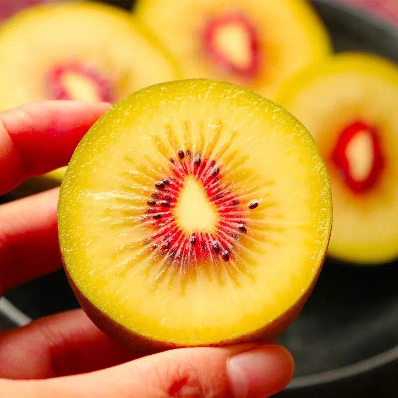 🥝Sweet Potted Kiwi Seeds