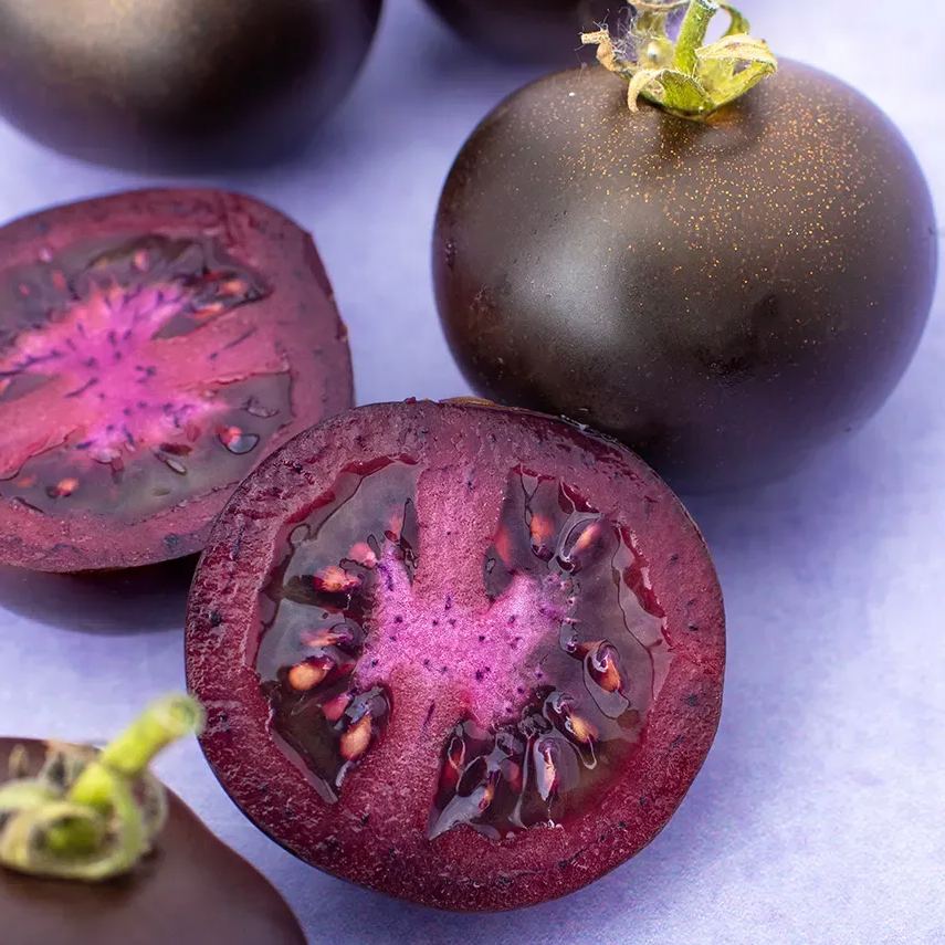 2024 Hot Sale🍅💜Purple Galaxy Tomato Seeds