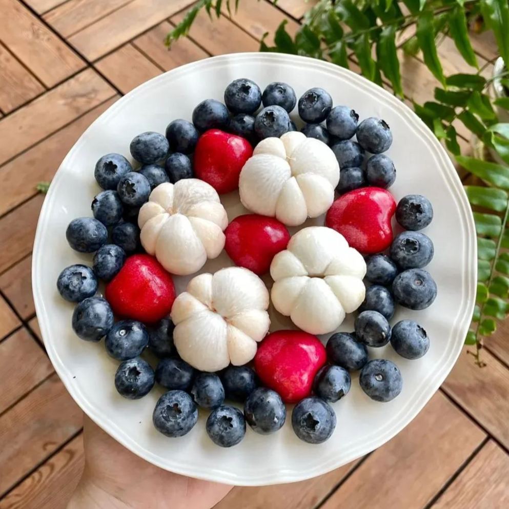 🔥Thailand Potted Mangosteen Seeds