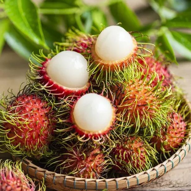 Rambutan Seeds💖Exotic Fruit