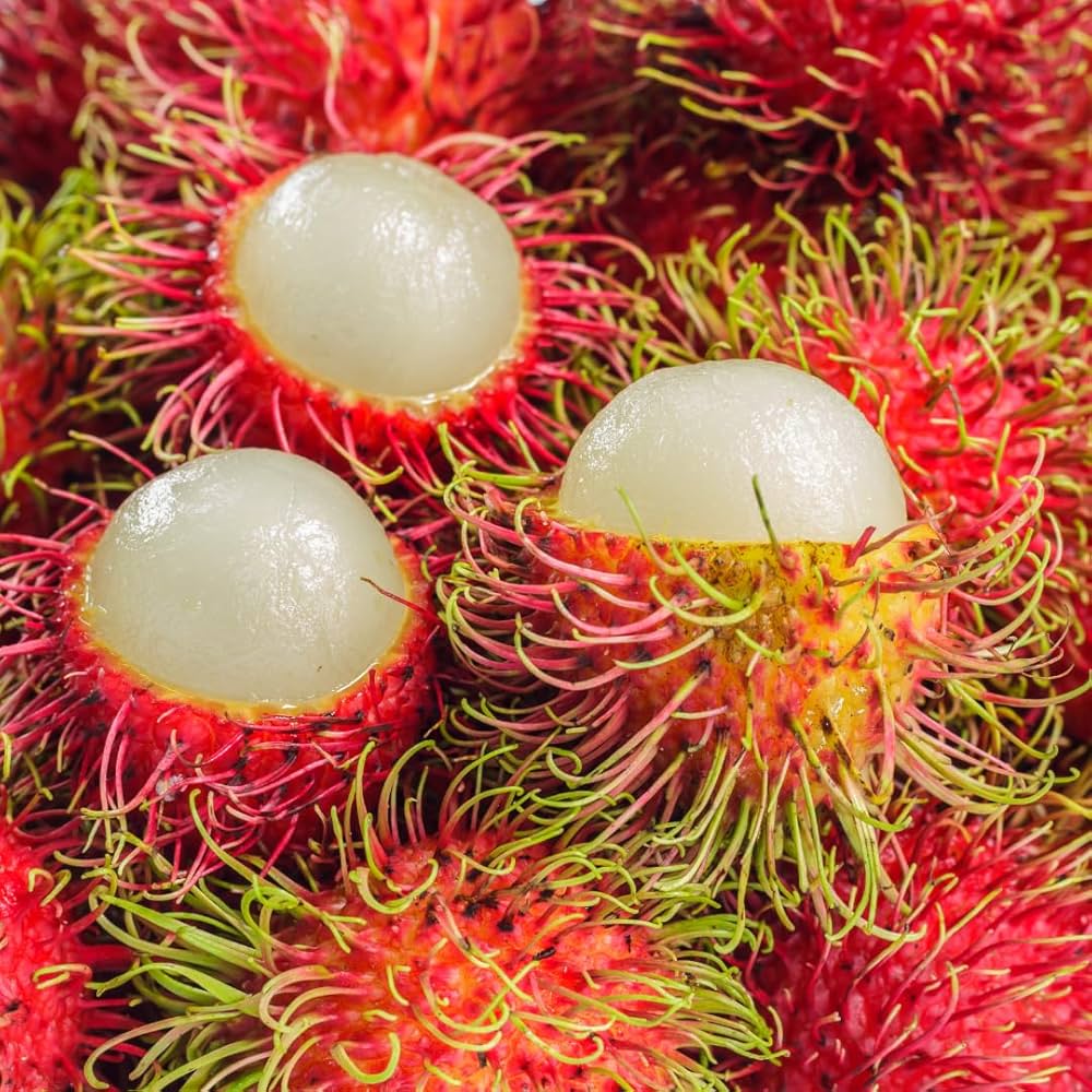 Rambutan Seeds💖Exotic Fruit