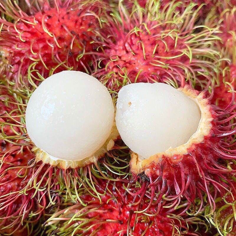 Rambutan Seeds💖Exotic Fruit