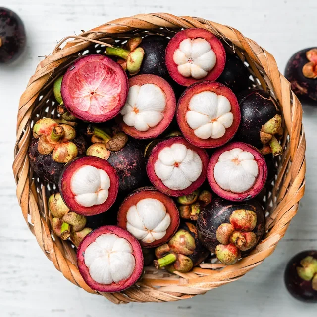 🔥Thailand Potted Mangosteen Seeds