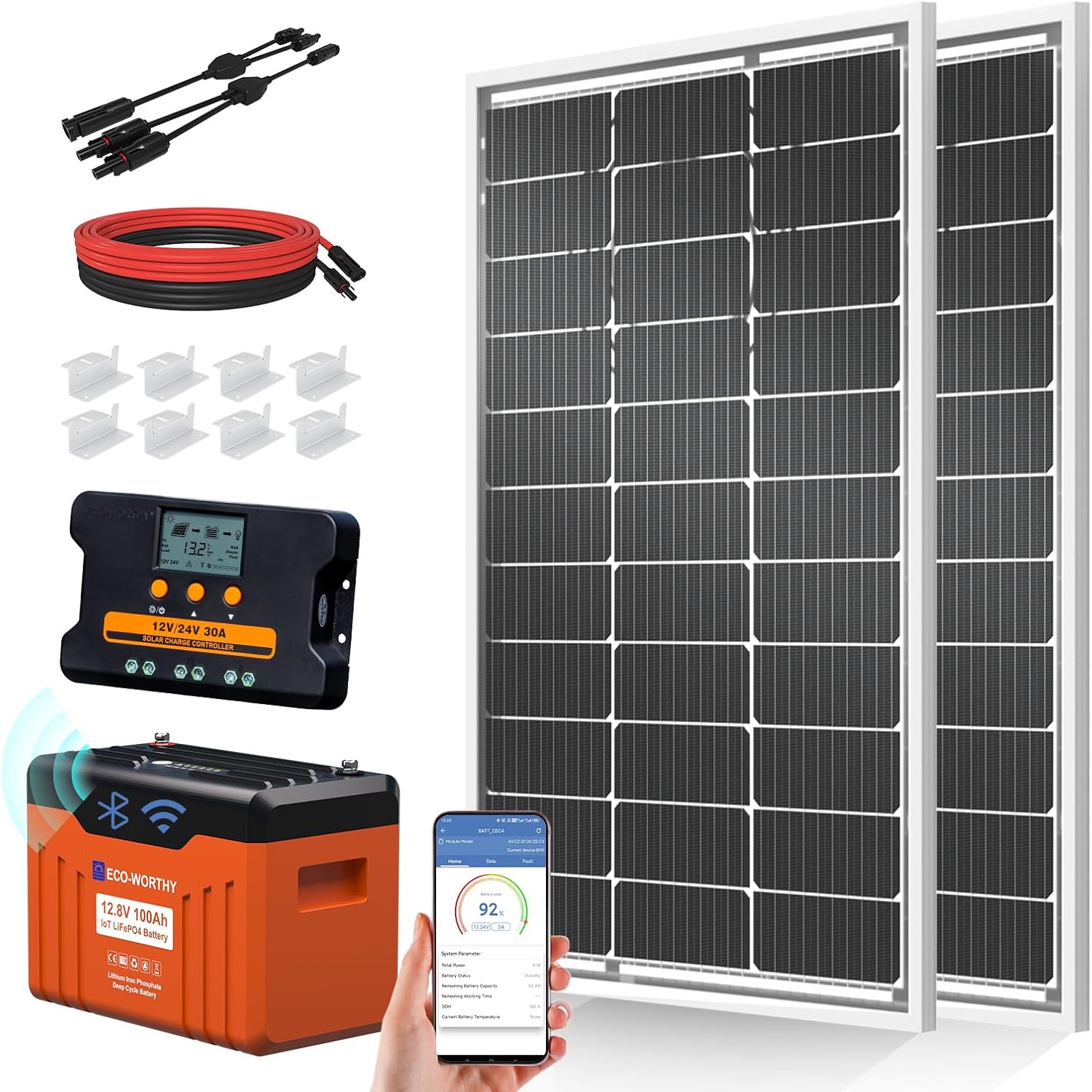 【🔥Jumia Clearance Sale，6 pack】ECO-WORTHY 1.28KWH 200W Solar Panel Kit for RV Garden DC-Powered Appliances with 2PCS 100W Bifacial Solar Panels, 12.8V 100AH Lithium Battery with Status Display, 30A Controller with Dual USB outputs
