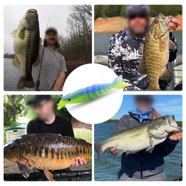 Multi Segments Soft Lures