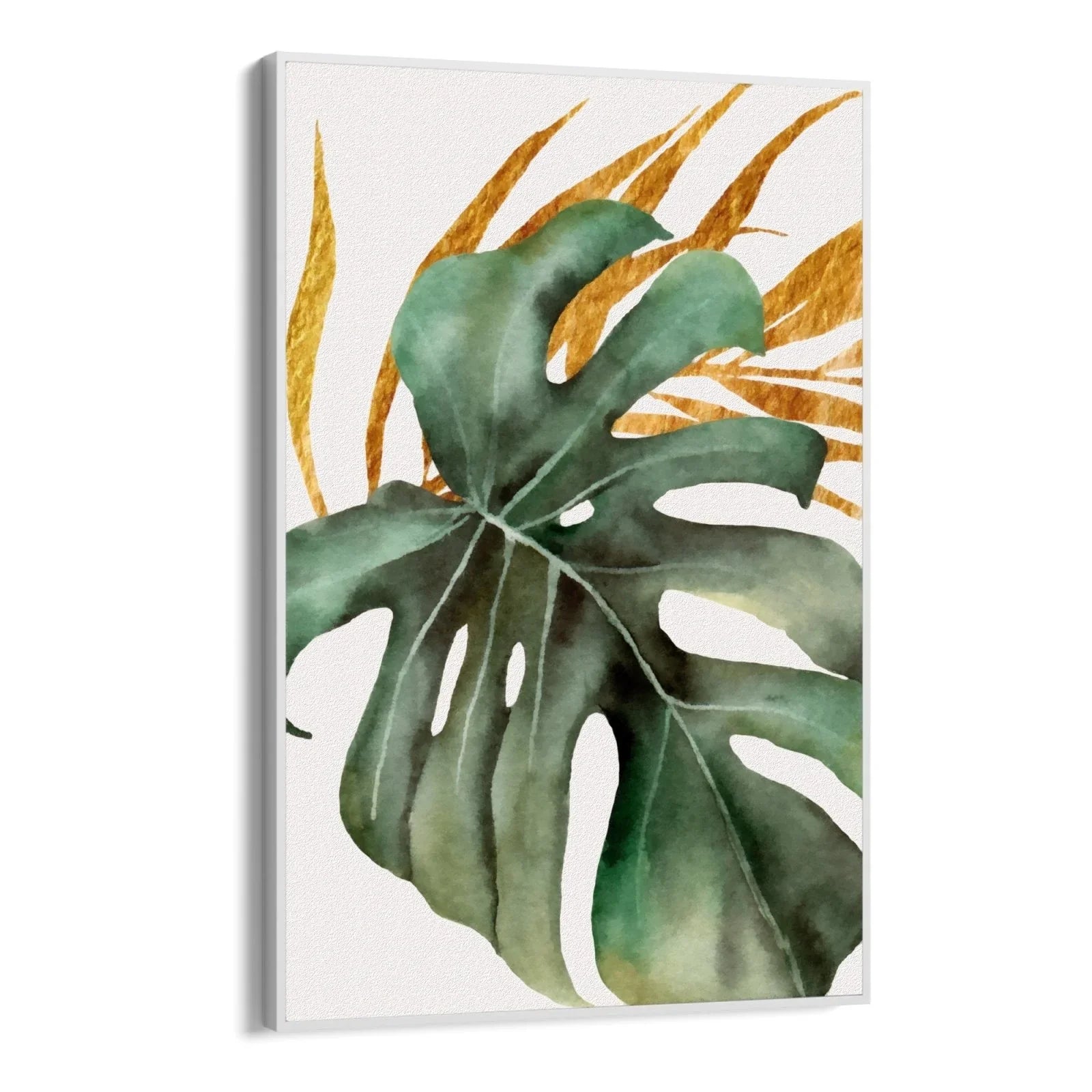Tropical Orchid