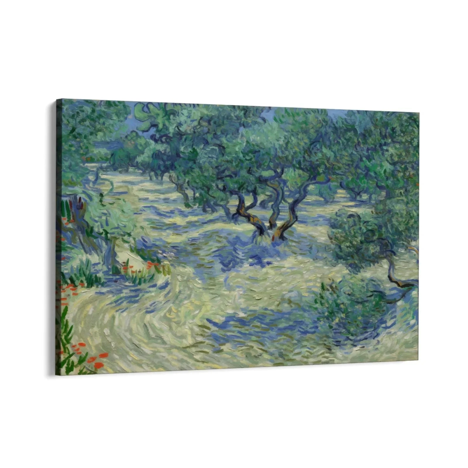 Olive Orchard 1889, Vincent Van Gogh