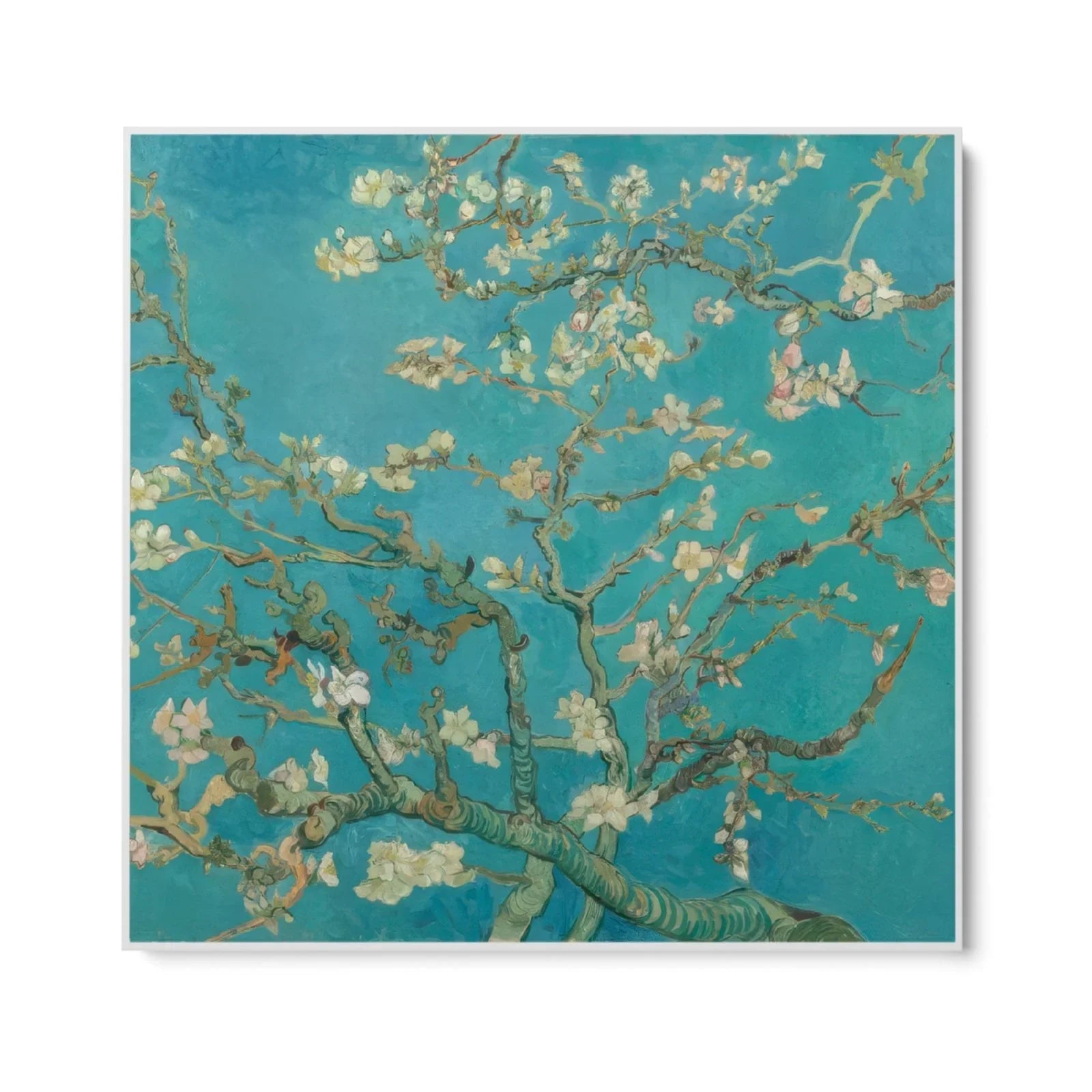 Almond Blossom, Vincent Van Gogh