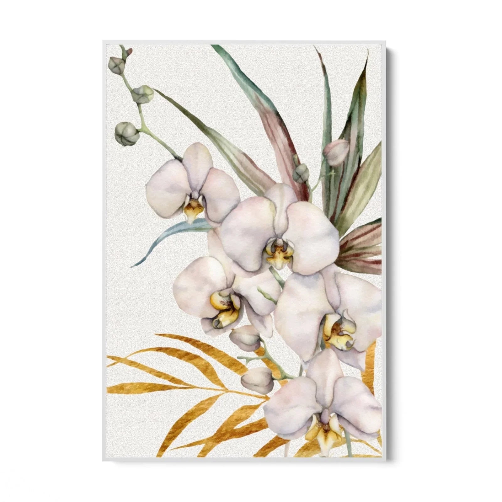 Tropical Orchid