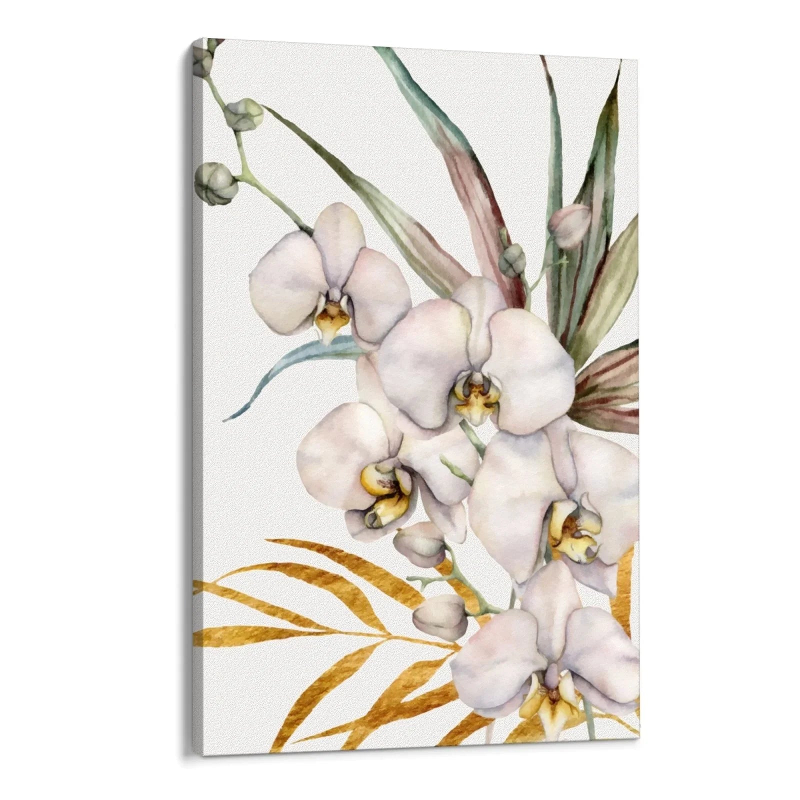 Tropical Orchid
