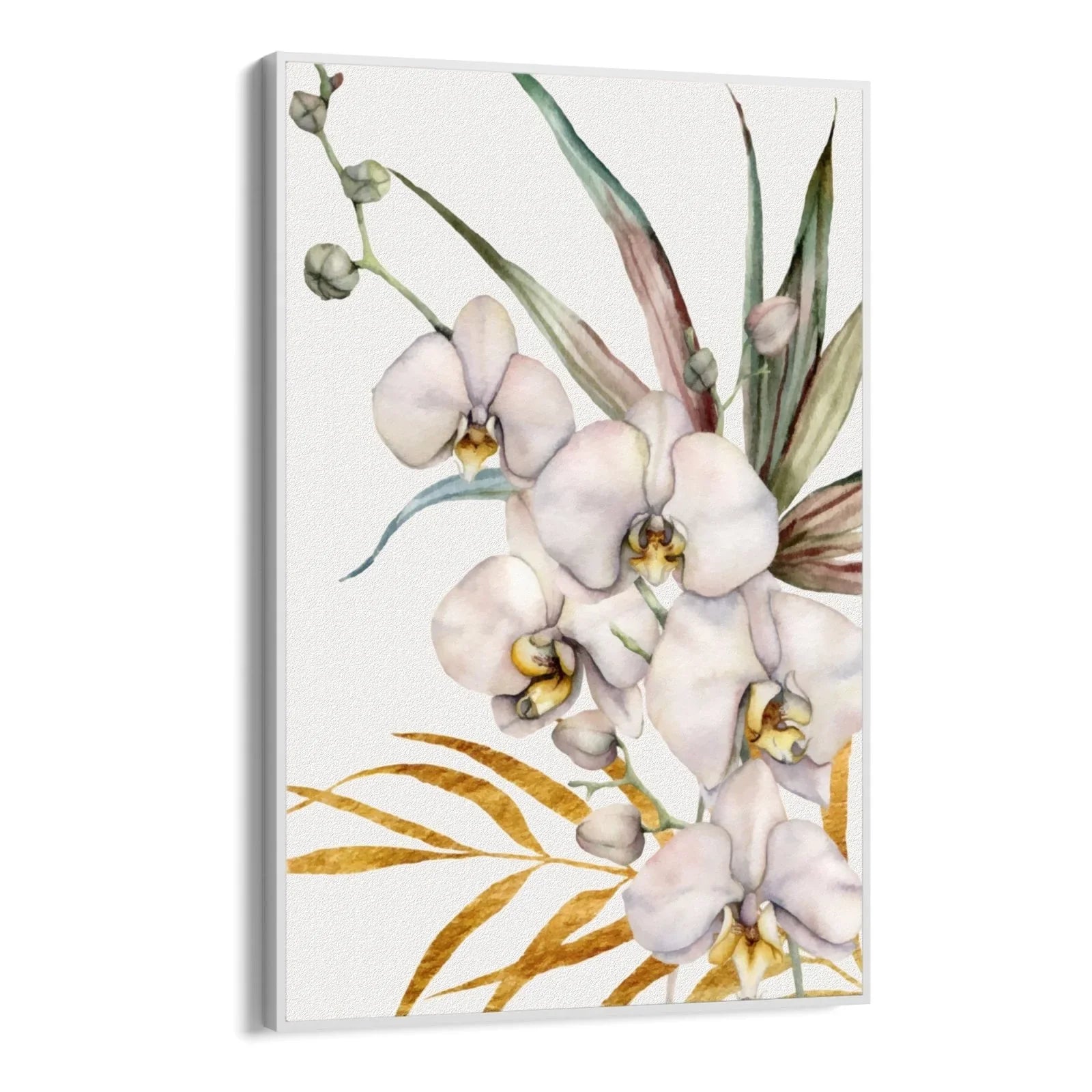 Tropical Orchid