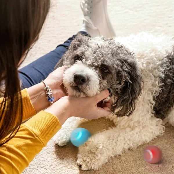 Last Day 49% OFF - Smart Pet Toys Automatic Rolling Ball